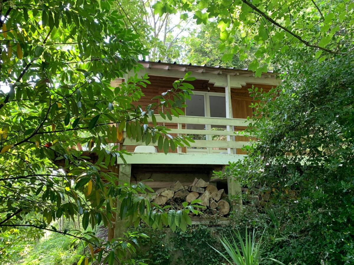 Chalet En Bord De Seine Villa Le Coudray-Montceaux Ngoại thất bức ảnh